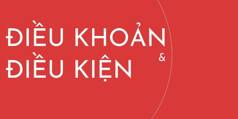 điều khoản và điều kiện sử dụng