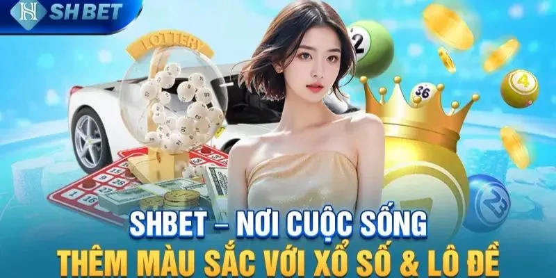 Nhà cái chuyên nghiệp