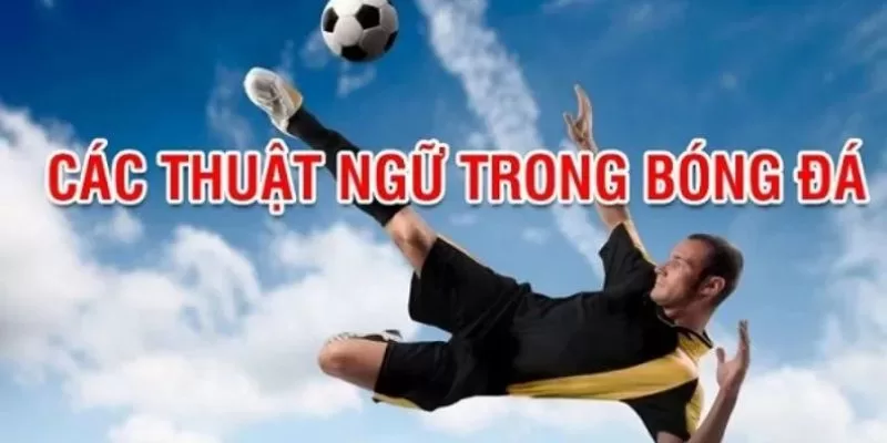 thuật ngữ cá độ