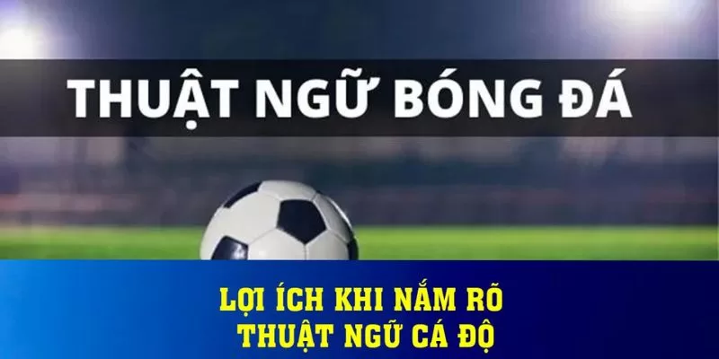 lý do nên nắm rõ thuật ngữ cá độ 