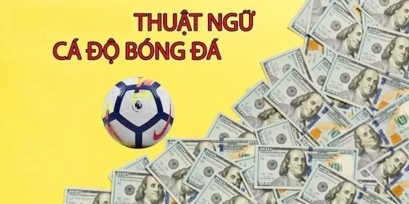 thuật ngữ cá độ thường dùng