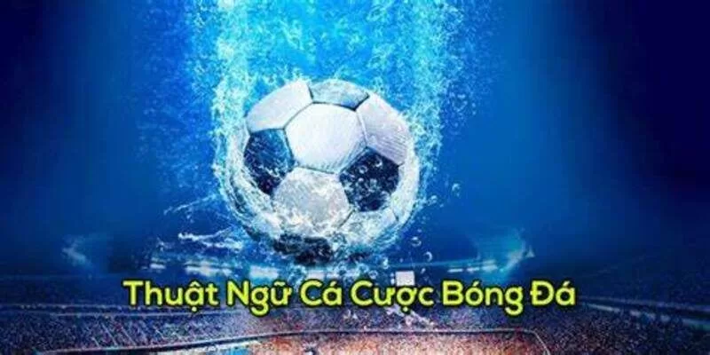 các thuật ngữ về các độ bóng đá